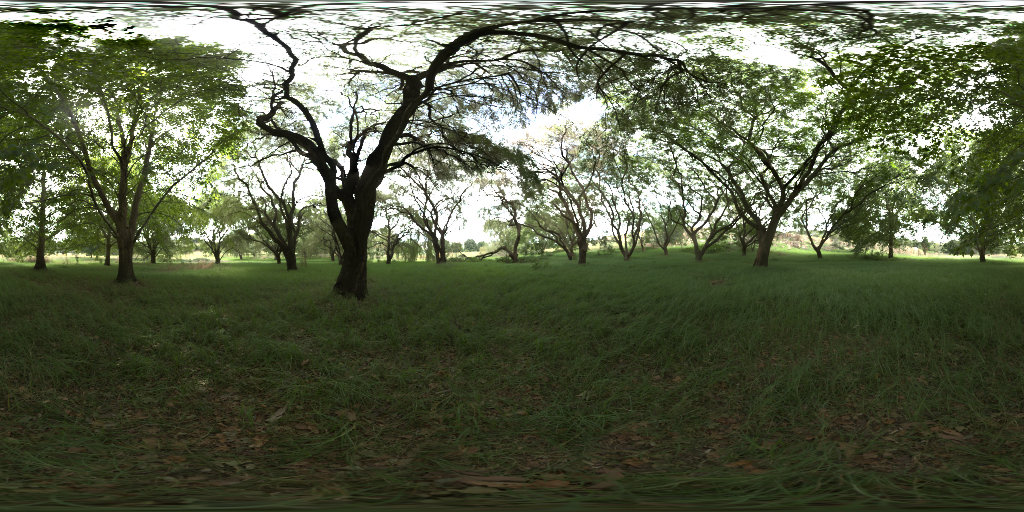 Forest